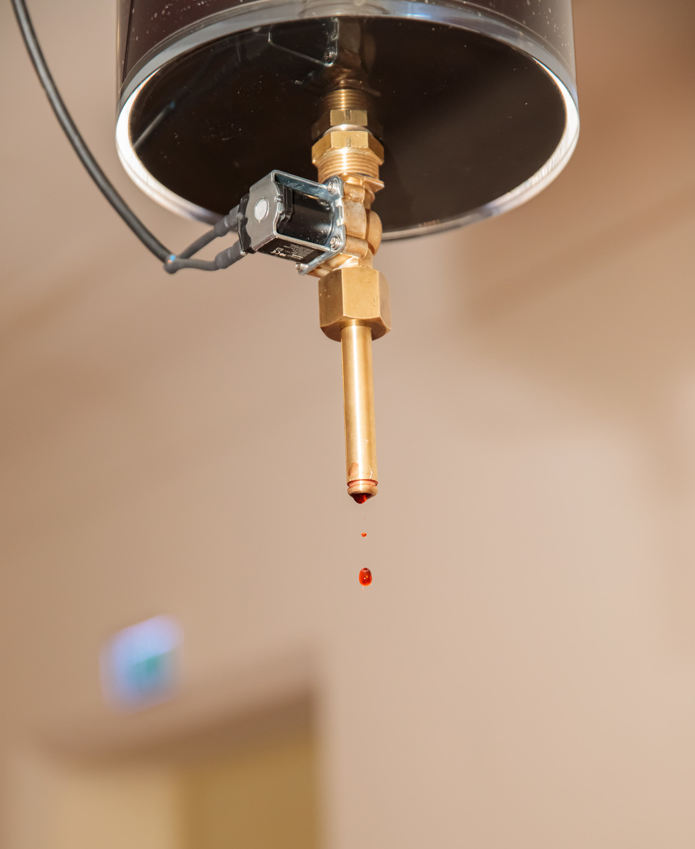 SONNTAGSBLATT, Gerd Neuhold