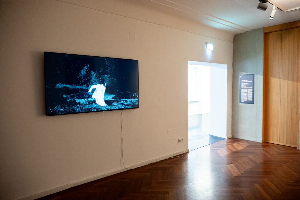 Foto: KULTUM/Adnan Babahmetovic Zlatko Kopljar: K16, 2012, Full HD-Video, Dauer: 10‘ 42“, In Kooperation mit: Director of photography: Boris Poljak; Editing: Damir Čučić; Sound: Martin Semenčić; Orgel: Joe Kaplowitz; Kostümbilder: Tonči Vladislavić, Licht: Tonći Gaćina; Produktion